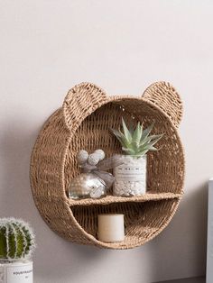 a rattan shelf with some plants and rocks on it next to a potted cactus