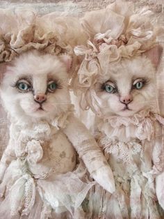 two white kittens with blue eyes are dressed in old fashioned clothes and lace garb