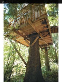 a tree house built in the middle of a forest