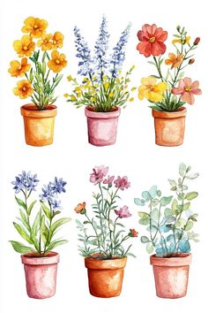 watercolor flowers in pots on a white background