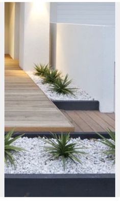 a wooden walkway leading up to a white house with plants on the side and lights above it