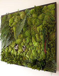 a moss covered wall hanging on the side of a building with plants and other things in it