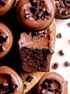 chocolate cupcakes with chocolate frosting and sprinkles on a wooden plate