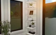 there is a white shelf with plants and pictures on it in front of a window