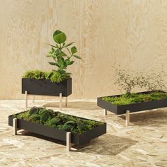 three planters with plants in them sitting on the floor