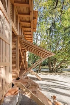 two dogs are sitting in front of a wooden structure that has been built into the side of a building