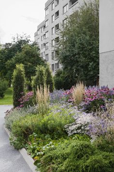 an urban garden with flowers and plants in the foreground, next to apartment buildings