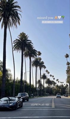 a street filled with palm trees and parked cars