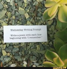 a piece of paper that reads wednesday writing prompt written on it next to some plants