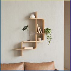 a living room filled with furniture and a wall mounted shelf next to a plant on the wall