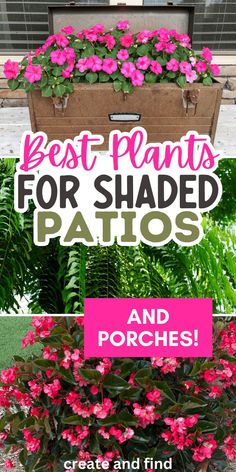 Collage of spring plants and flowers for shaded porches and covered patios. Hanging Plant Pots Outdoor, Front Porch Flower Pots Entrance Shade, Front Porch Container Garden, Shaded Potted Plants, Best Plants For Covered Porch, Full Shade Container Ideas, Shade Spiller Plants, Shade Plants For Front Porch