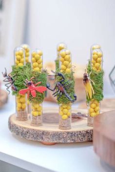 small glass vases filled with yellow and green plants