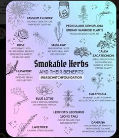 Smokeable Herbs, Wicca Spells, Medical Herbs, Clever Tattoos, Puff Puff