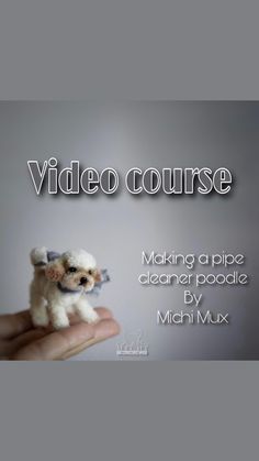 a hand holding a tiny white dog with the words video course on it's side