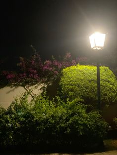 a street light sitting on top of a lush green field next to a tree and bushes