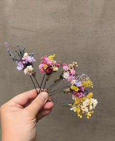 a person holding flowers in their hand on a gray background with the words, spring is here