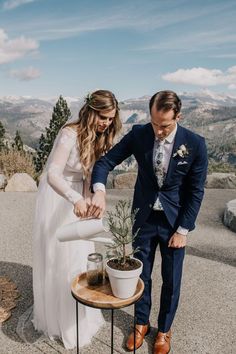 a bride and groom are standing next to a potted plant on top of a mountain