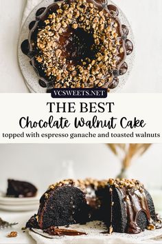 the best chocolate walnut cake with espresso ganache and toasted walnuts