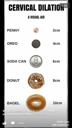 a poster with different types of doughnuts and donuts on it's sides