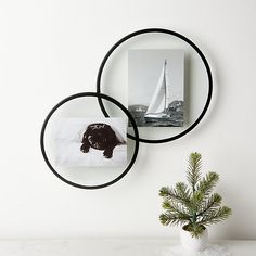 two black metal circles hanging on the wall next to a potted plant and photo