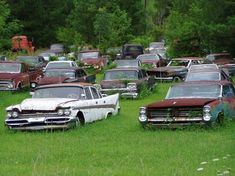 several old cars are parked in the grass near each other on an overgrown field with trees behind them