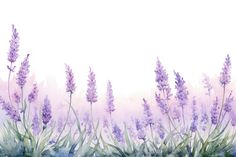 watercolor painting of lavender flowers and grass