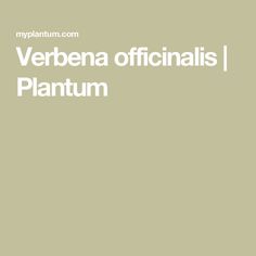 the words verbbena officinalis plantum are in white letters