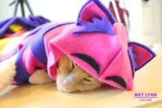 a cat is wearing a pink and purple costume