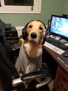 a dog wearing headphones sitting in an office chair next to a computer monitor and keyboard