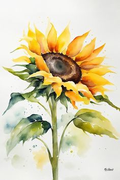 a watercolor painting of a sunflower