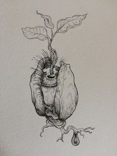 a drawing of a plant with leaves growing out of it's center and the roots