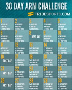 30 Day Arm Challenge! Might use in conjunction with my 30 day squat challenge! Race Motivation, 30 Day Arm Challenge, 30 Day Arm, Workout Challenges, 30 Day Fitness, Yoga Posen, Challenge Accepted, Fitness Challenge