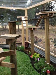 an outdoor area with several wooden posts and plants in the center, along with a bird feeder