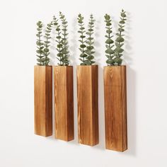 three wooden vases with plants in them