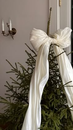 a white bow on top of a christmas tree