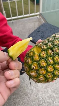 a person holding a piece of pineapple in their hand