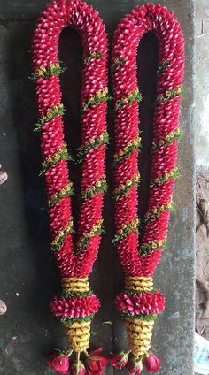 two red and yellow flowers are tied to the side of a wall with ropes on it