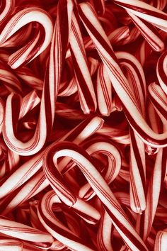 red and white candy canes are piled together