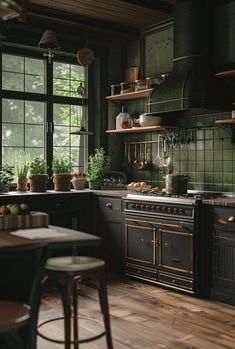 a kitchen with wooden floors and green walls