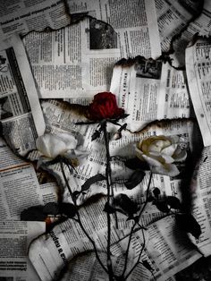 a red rose sitting on top of newspaper with torn paper around it and other papers surrounding it