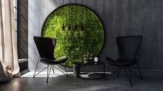 a living room with moss growing on the wall and two chairs in front of it