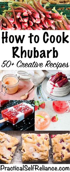 how to cook rhubarb in 50 creative recipes - practical self reliance com