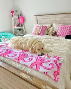 a dog laying on top of a bed with pink and white comforter next to it