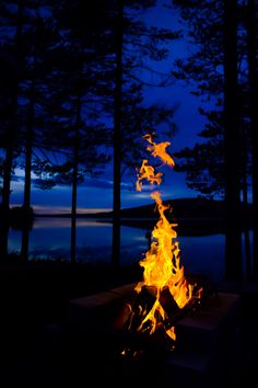 a campfire in the dark with trees around it