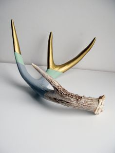 an antler with two horns on it sitting on top of a white table next to a piece of driftwood