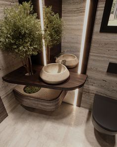 a bathroom with two sinks and a potted plant