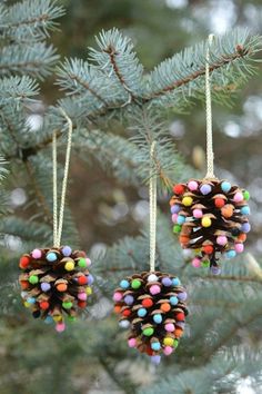 two pine cones hanging from a tree branch with colorful beads on the top and bottom