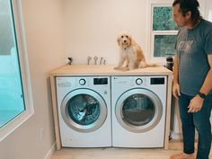 a man standing next to a dog on top of a washer and dryer