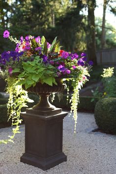 a potted plant with purple and red flowers in it sitting on a stone walkway