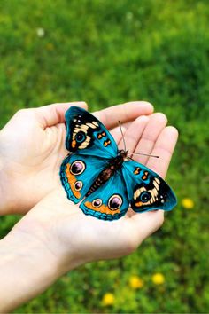 a butterfly that is sitting on someone's hand